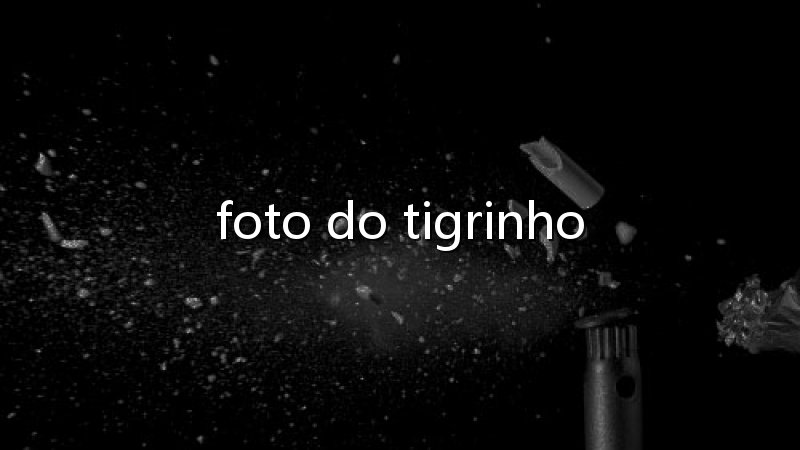 Straight Poker: emoção, estratégia e ritmo em cada rodada