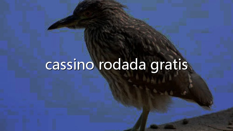 Como funciona o jogo do tigrinho passo a passo: guia prático para jogar com consciência